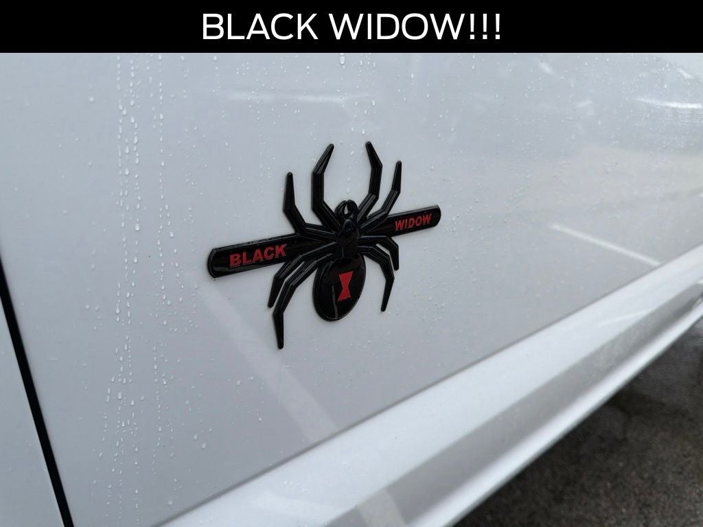 2020 Ford F-150 XLT BLACK WIDOW