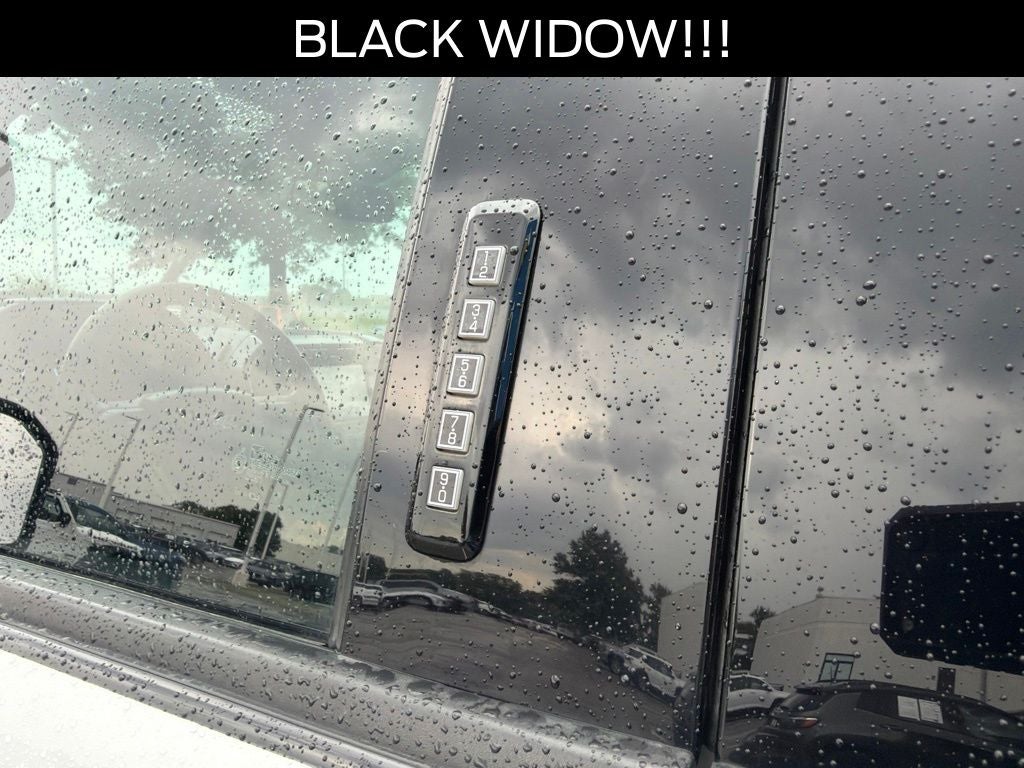 2020 Ford F-150 XLT BLACK WIDOW