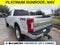 2019 Ford F-250SD Platinum