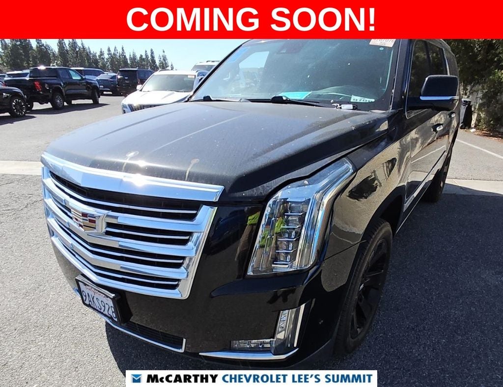 2020 Cadillac Escalade ESV Platinum Edition