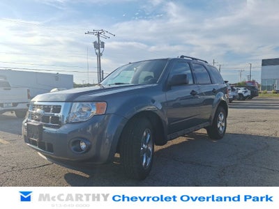 2011 Ford Escape XLT